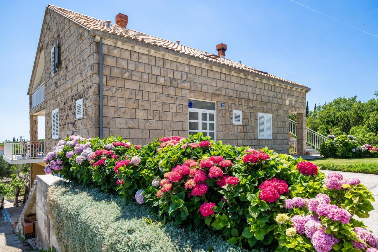 Apartments Amalija Čilipi 외부 사진